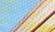 a moire pattern appearing in a scanned halftone image