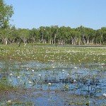 Kakadu National Park