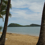 Palm Cove