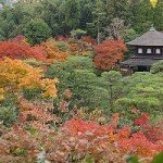 Kyoto Gardens