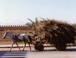 marrakech