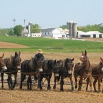 Farming in Lancaster County