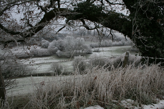 Hoar frost in Melbury Abbas, Dorset, England