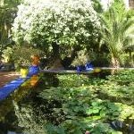 Jardin Majorelle Water Feature