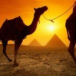 Camel riding by the Pyramids of Giza, Cairo