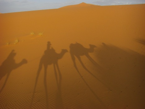 Shadows on the Sahara Desert, Morocco