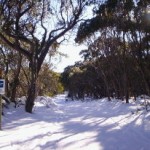 Lake Mountain, Victoria