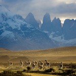 Patagonia, Argentina