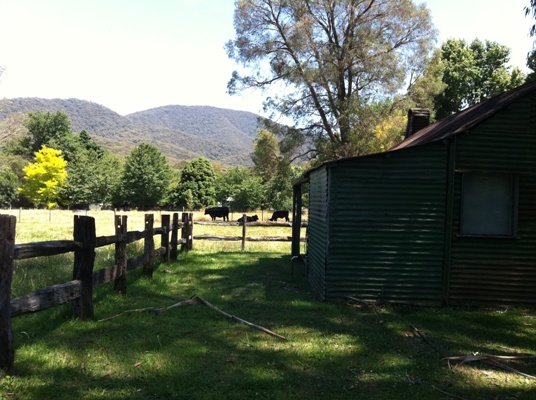 The view from behind Juddy's Hut