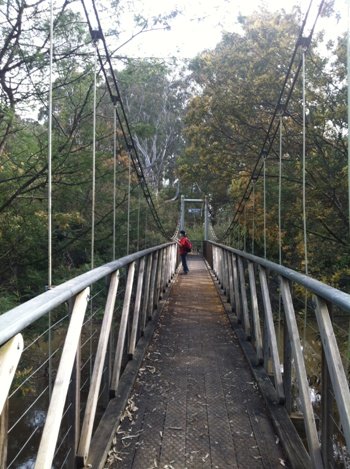 Suspension bridge at Yea Wetlands