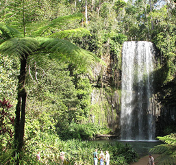 Cairns to Malanda