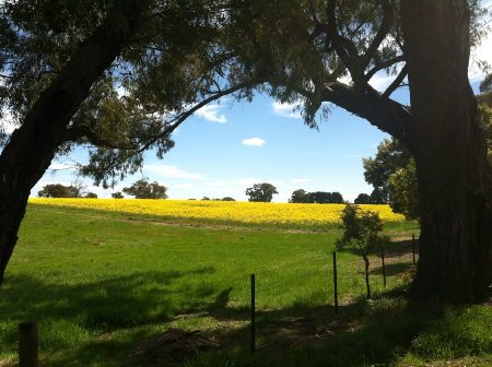 Ghin Ghin Road, Yea, Victoria