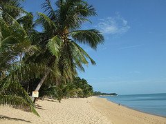 Paradise in Koh Samui 1