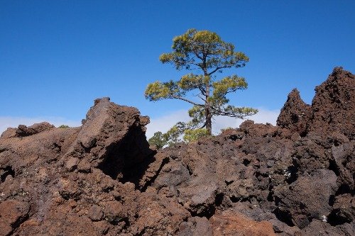 lava_fields