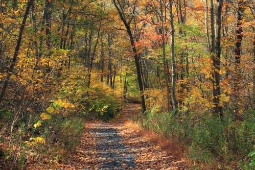 Appalachian trail